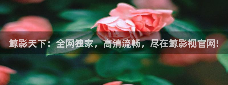 策驰影院电视剧免费观