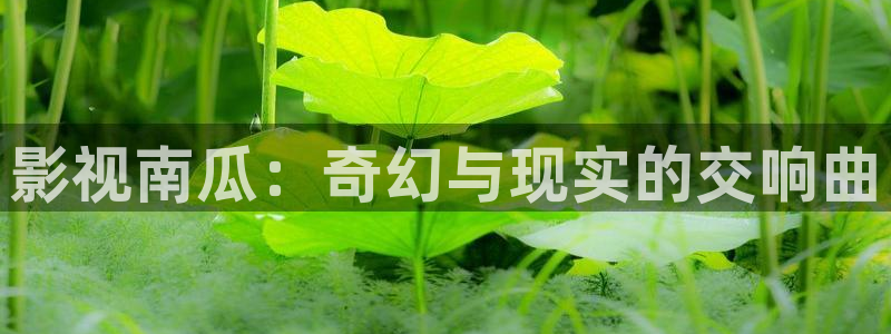 流水迢迢电视剧免费观看完整版策驰影院