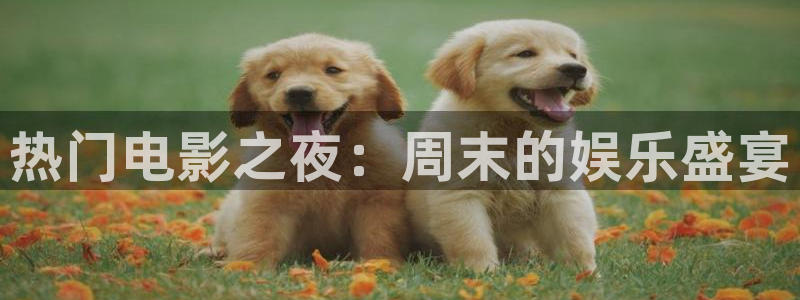 雁回时免费观看策驰影院